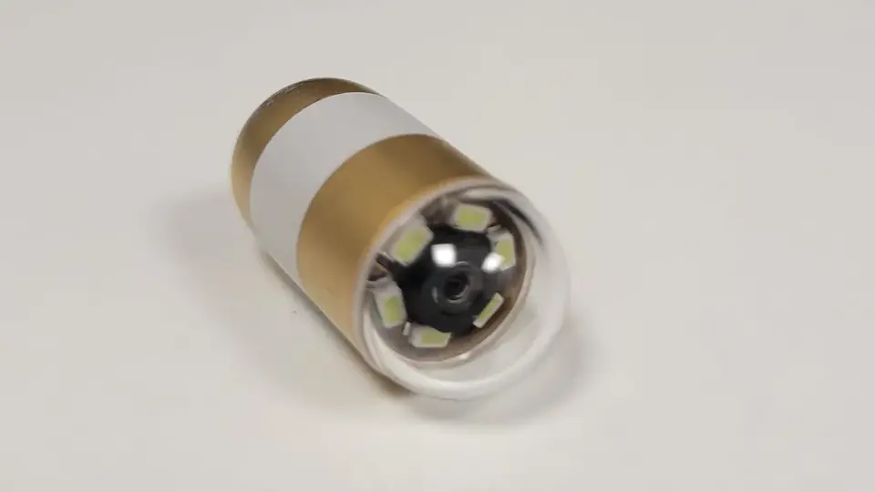 Capsule Endoscopy